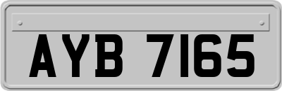 AYB7165