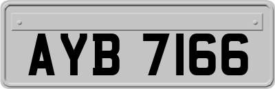 AYB7166
