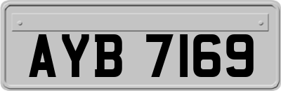 AYB7169