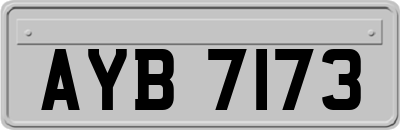 AYB7173