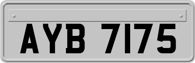 AYB7175