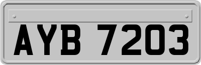 AYB7203