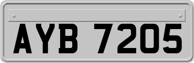AYB7205