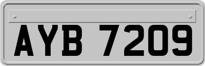 AYB7209