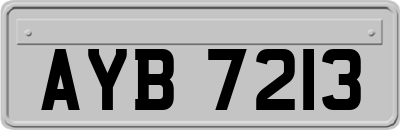 AYB7213