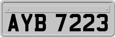 AYB7223