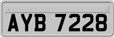 AYB7228