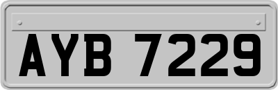AYB7229
