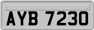 AYB7230