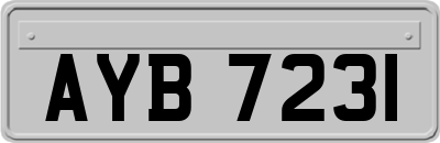 AYB7231