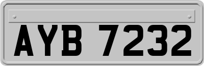 AYB7232