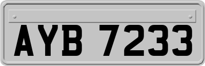 AYB7233