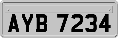 AYB7234