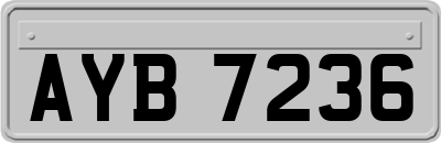 AYB7236