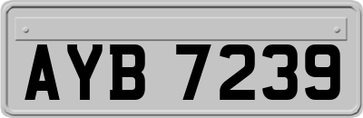 AYB7239