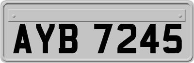 AYB7245