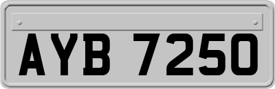 AYB7250