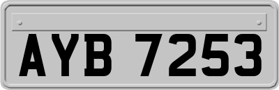 AYB7253
