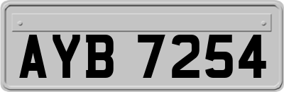 AYB7254