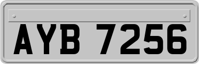 AYB7256