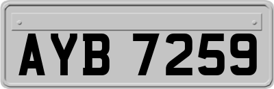 AYB7259