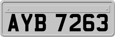 AYB7263