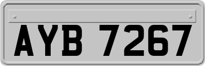 AYB7267