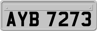 AYB7273