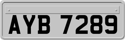 AYB7289