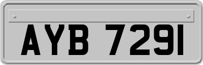 AYB7291