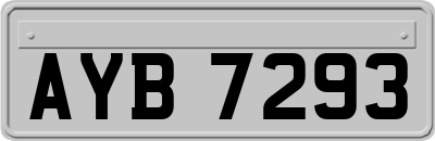 AYB7293