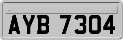 AYB7304