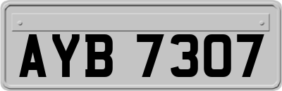 AYB7307