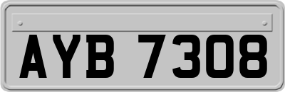 AYB7308