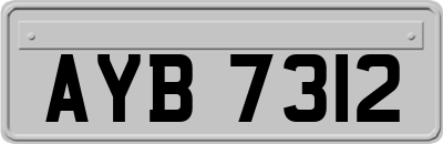 AYB7312