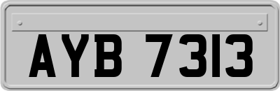 AYB7313
