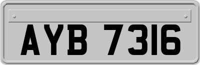 AYB7316