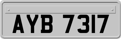 AYB7317