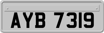 AYB7319