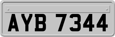 AYB7344