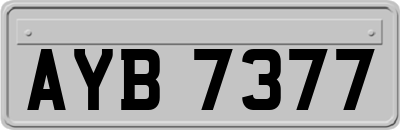 AYB7377