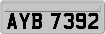 AYB7392