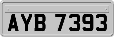 AYB7393
