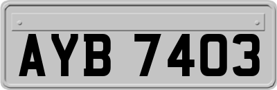 AYB7403