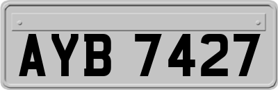 AYB7427