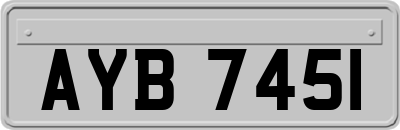 AYB7451