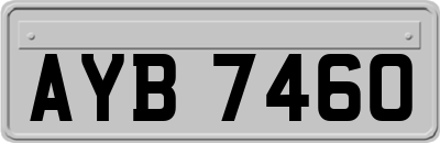 AYB7460
