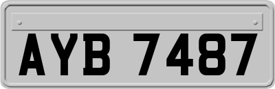 AYB7487