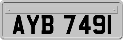 AYB7491