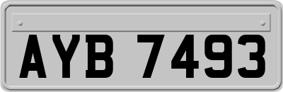 AYB7493